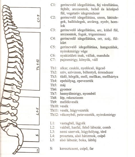 beolvasas0012.jpg
